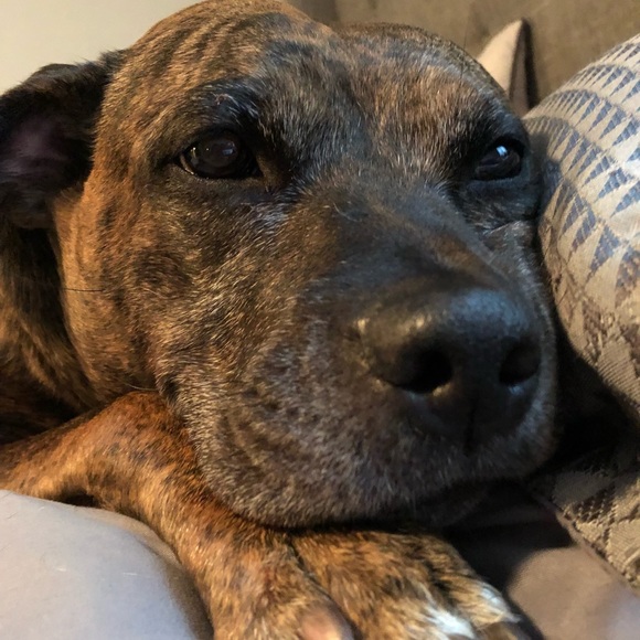 Meet your Posher, Jackelinne - Picture 1 of 1